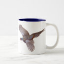 Recherche de faisan tasses Oiseau