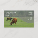 Recherche de vache brune cartes visite Bétail