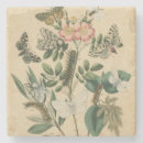 Recherche de insecte dessous de verres Chenilles