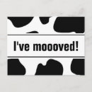 Recherche de taches vache cartes postales Drôle