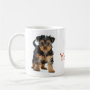 Recherche de yorkshire tasses Chien