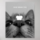 Recherche de chaton adorable posters Félin