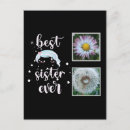Recherche de soeur cartes postales Sœur