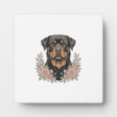 Zoek naar rottweiler fotoplaat Dier