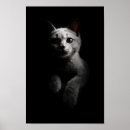 Zoek naar katten portret posters Katje