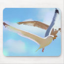 Recherche de mouette tapis souris Animaux