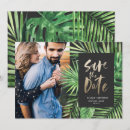 Recherche de tropicaux photographie Tropical