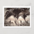 Recherche de vintage de la floride cartes postales Palmier
