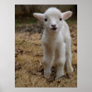 Recherche de nouveaux nés posters Pour enfants