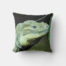 Zoek naar lizards kussens Iguana