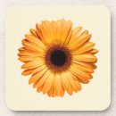 Recherche de marguerite gerbera dessous de verres Jardin