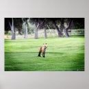 Recherche de renard photographie Faune