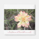 Recherche de indiens magnets Rouge