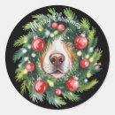 Zoek naar neus stickers Feestelijk