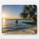 Recherche de palmiers coucher soleil tapis souris Côtier
