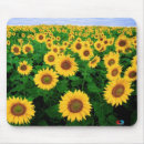 Recherche de lunatique tapis souris Tournesol