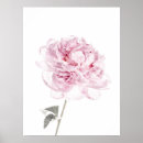 Recherche de beau photographie art Photographie de beaux