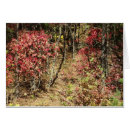 Recherche de smokies Nature