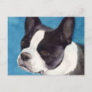 Zoek naar boston terriër briefkaarten Canine