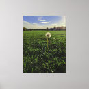 Recherche de ping posters Nature