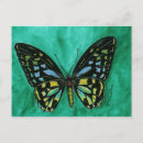 Recherche de papillon turquoise cartes postales Ailes