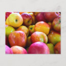 Zoek naar landbouwers briefkaarten Herfst