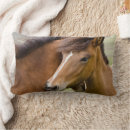 Zoek naar veulen kussens Pony