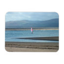 Recherche de plancher magnets Pour tous