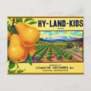 Zoek naar vintage etiketten briefkaarten Vruchten