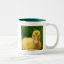Recherche de canard bébé tasses Animal