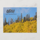 Recherche de dix cartes postales Nature