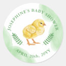 Zoek naar kuiken stickers Schattig