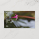 Recherche de de vue cartes visite Nature