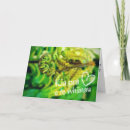 Zoek naar zeeland kaarten Kiwi