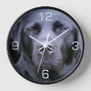 Recherche de labrador retriever horloges Laboratoire noir