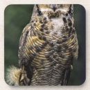 Zoek naar klauwen onderzetters Fauna