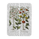 Recherche de poivron magnets Poivre