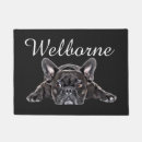 Zoek naar puppy Bulldog