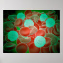 Recherche de système immunitaire posters Médecine