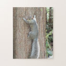 Recherche de tronc puzzles Faune