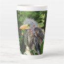 Zoek naar reiger mokken Natuur