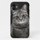 Recherche de chat tigré coques Chaton