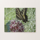 Recherche de algues puzzles Nature