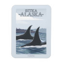 Recherche de orca magnete Baleines