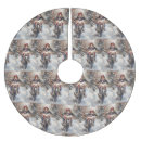 Recherche de anglais jupon de sapin Chien