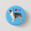 Recherche de berger australien badges Chien