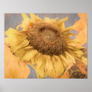 Zoek naar decoupage posters Bloem