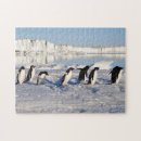 Recherche de pingouins puzzles Jigsaw