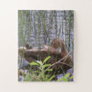 Recherche de duck puzzles Canard