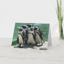 Zoek naar penguin kaarten Dieren